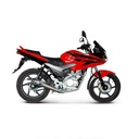 Full Exhaust System TERMIGNONI Strada Round Honda CBF 125 2008-2014