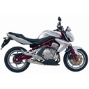 MIVV X-CONE Silencer Kawasaki 650 VERSYS / ER6/ER6F