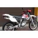 ARROW Paris Dakar Replica Silencer Yamaha TTE 600/TT 600 R
