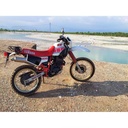 ARROW Paris Dakar Replica Silencer Yamaha XT 600 / TENERE 1983-1989