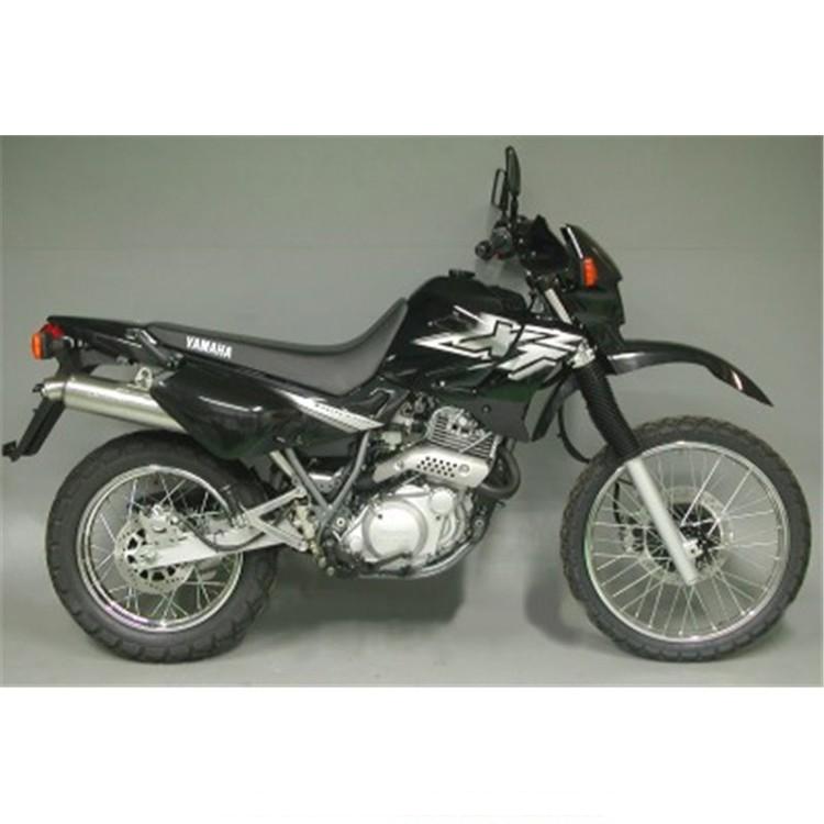 ARROW Paris Dakar Replica Silencer Yamaha XT 600 E 1995-2003