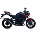 ARROW Race Tech Silencer (carbon end cap) Kawasaki Z 400 2019-2024 and 400 Ninja 2018-2024