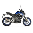 Ligne Complète AKRAPOVIC Racing Line (coupelle carbone) Yamaha MT 125/YZF 125 R 2021-...