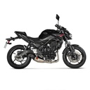 AKRAPOVIC RACING LINE Full Exhaust System Kawasaki Z 650 / Ninja / Versys Carbon End Cap