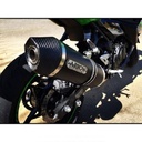 Silencieux ARROW Indy Race pour Kawasaki Ninja 400 et Z 400 2023-2024