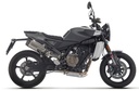 Silencieux Arrow Indy Race Evo Husqvarna Svartpilen 801 2024-...