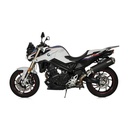 Silencieux BOS SLIP-ON ovale BMW F800 R 2009-2019 et F800 GT 2013-2019